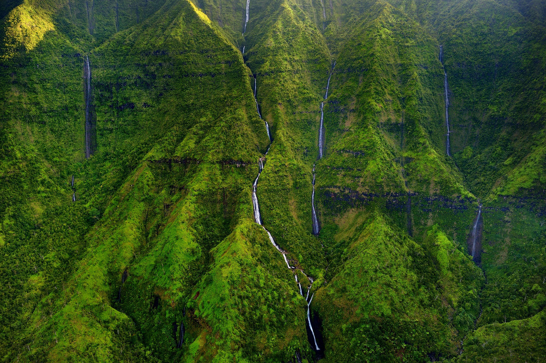 Rainy Day Activities in Hawaii: What To Do When the Sunshine Takes a Break